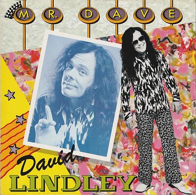 LINDLEY, DAVID - MR. DAVE German pressing (LP)