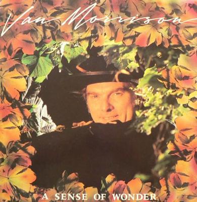 MORRISON, VAN - A SENSE OF WONDER Dutch pressing (LP)
