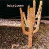 INDIAN SUMMER - S/T 180g reissue (LP)
