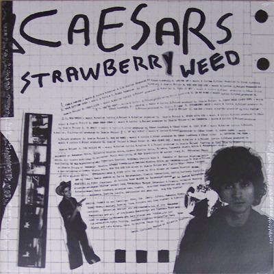 CAESARS PALACE - STRAWBERRY WEED Limited edition Double-Lp (2LP)