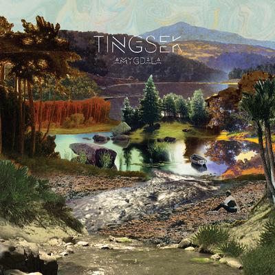 TINGSEK - AMYGDALA Limited Edition. 300 copies (2LP)