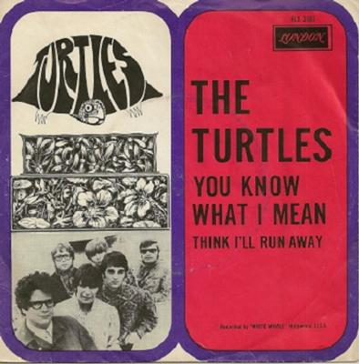 TURTLES, THE - YOU KNOW WHAT I MEAN / Think I'll Run Away Dutch original (7")