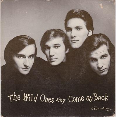THE WILD ONES - COME ON BACK / Come On Back (Instr.) (7")