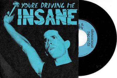 ROUGHNECKS / BEACHNUTS - YOU''RE DRIVING ME INSANE French 1977 release, pre-Velvets Lou Reed tracks (7")