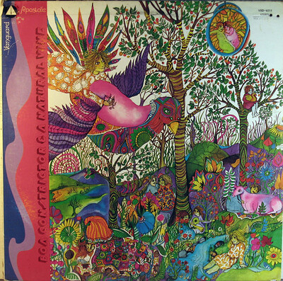 BOA CONSTRICTOR & A NATURAL VINE - S/T Rare and great US psych Lp from 1968. (LP)