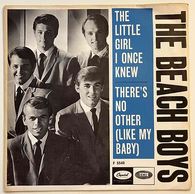 BEACH BOYS, THE - THE LITTLE GIRL I ONCE KNEW / There's No Other (Like My Baby) Swedish press from 1966. (7")